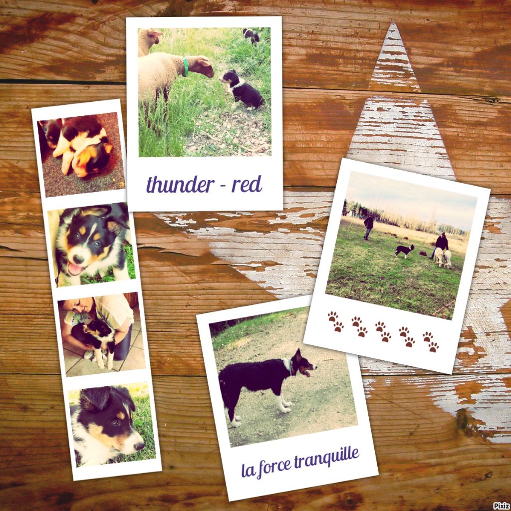 Thunder-red Du Grand Buech