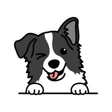 Dessine Moi Un Border - l 'aventure continue pour élevage dessine moi un border
